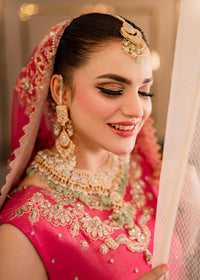 AROHE - Client Diary