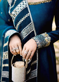 Sarcelle - Client Diary I