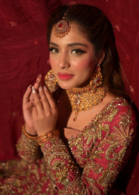 MAAHRU - Client Diary I