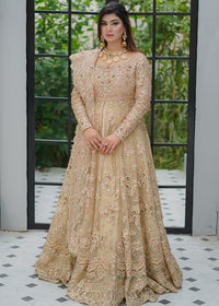 RENISA - Client Diary I