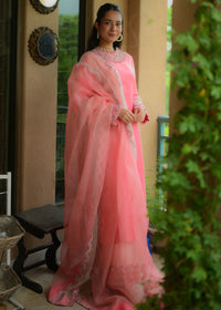 Rosella - Client Diary I