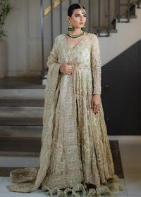 ARIA - Client Dairy I