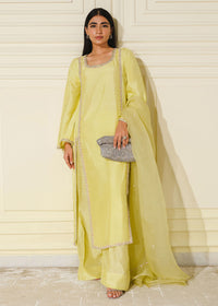 Aellin - Client Diary I