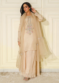 Nerin - Client Diary I