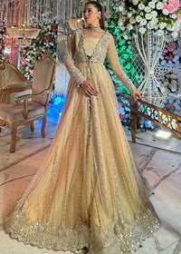 Perci - Client Diary IX