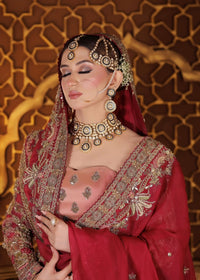 MAAHRU - Client Diary VI