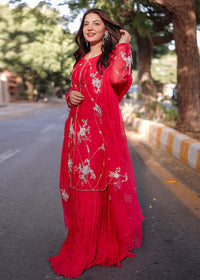 Daphne - Client Diary I