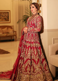 ASMIRA - Client Diary III