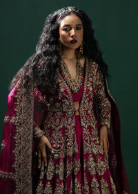 ASMIRA - Client Diary I