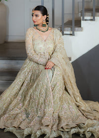 ARIA - Client Dairy I