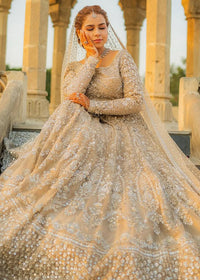 TARA - Client Diary II