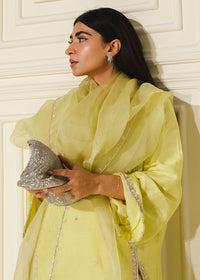 Aellin - Client Diary I