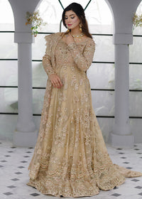 RENISA - Client Diary I