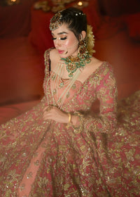 MAAHRU - Client Diary VII