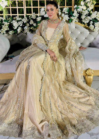 Perci - Client Diary IX