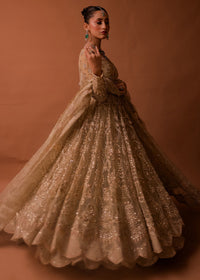 ARIA - Client Dairy III