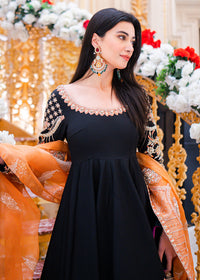 Abeer Asad in Elea - Client Diary