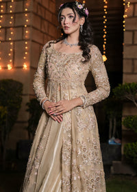 RENISA - Client Diary II