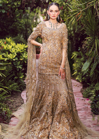 TAIA - Client Diary I