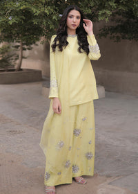 Abelie - Client Diary I