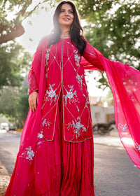 Daphne - Client Diary I