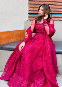 Veronica - Client Diary