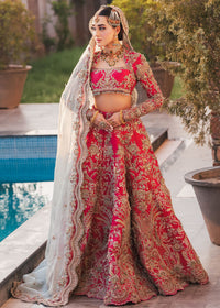 INARA - Client Diary II