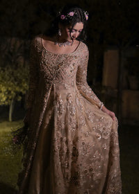 RENISA - Client Diary II