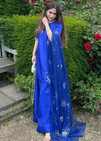 Belle - Client Diary I