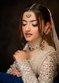 TARA - Client Diary V