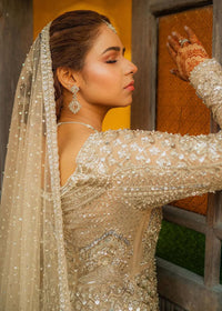 TARA - Client Diary II