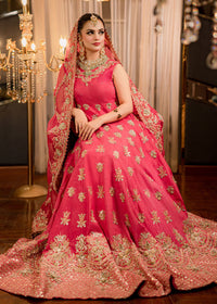 AROHE - Client Diary