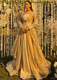 Perci - Client Diary IX