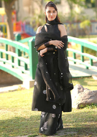 Aurora - Client Diary I