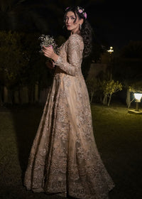 RENISA - Client Diary II