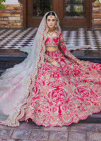 INARA - Client Diary II