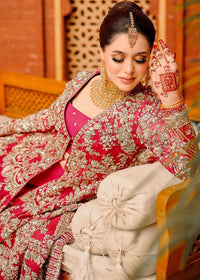 ASMIRA - Client Diary