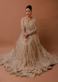 ARIA - Client Dairy III