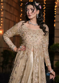 RENISA - Client Diary II