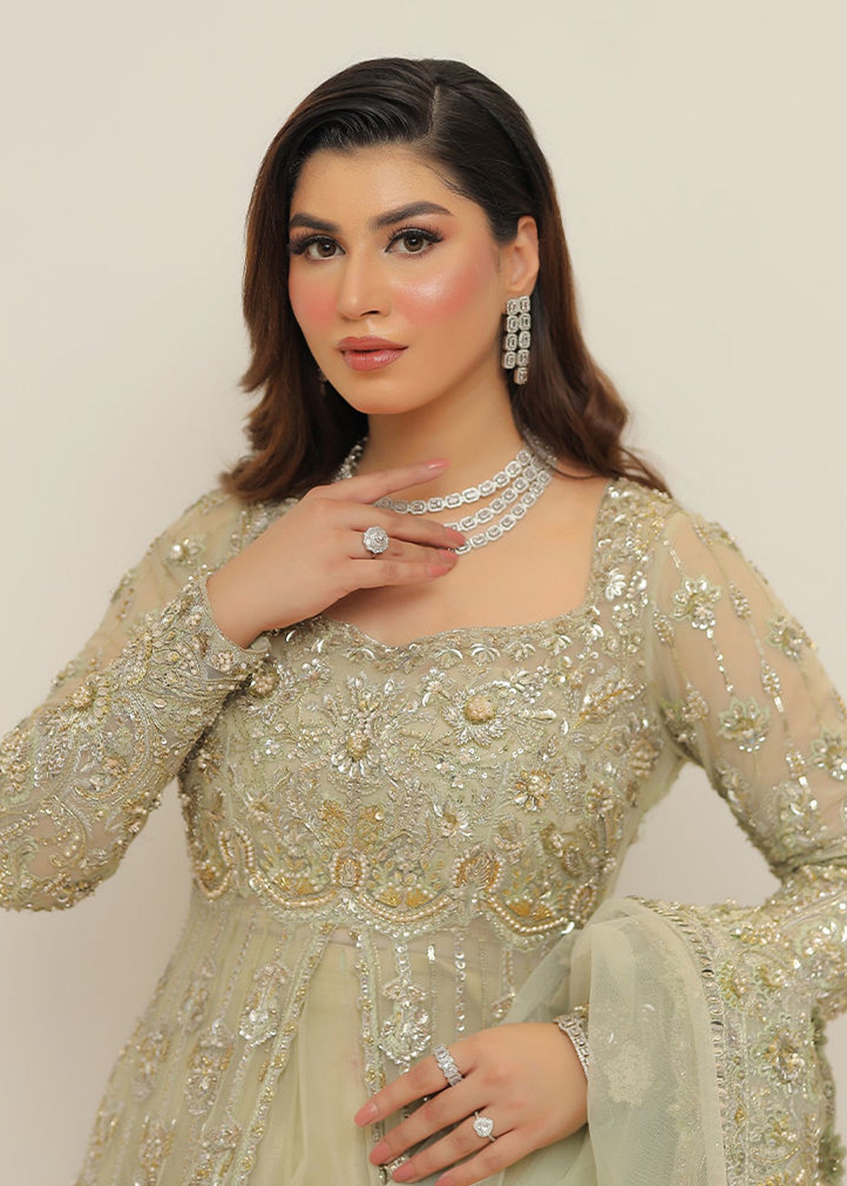 ESRA - Client Diary V