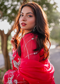 Daphne - Client Diary I