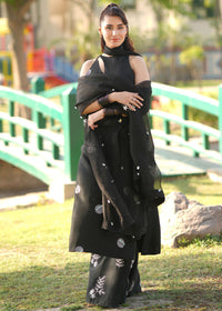 Aurora - Client Diary I