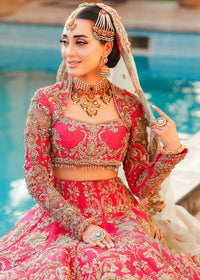 INARA - Client Diary II