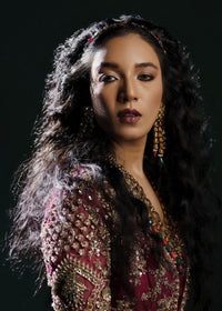 ASMIRA - Client Diary I