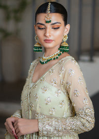 ARIA - Client Dairy I