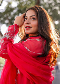 Daphne - Client Diary I