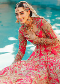 INARA - Client Diary II