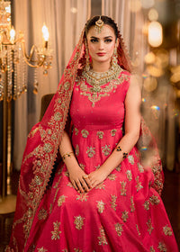 AROHE - Client Diary