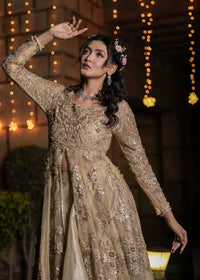 RENISA - Client Diary II