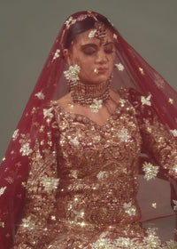 LILA - Client Diary II